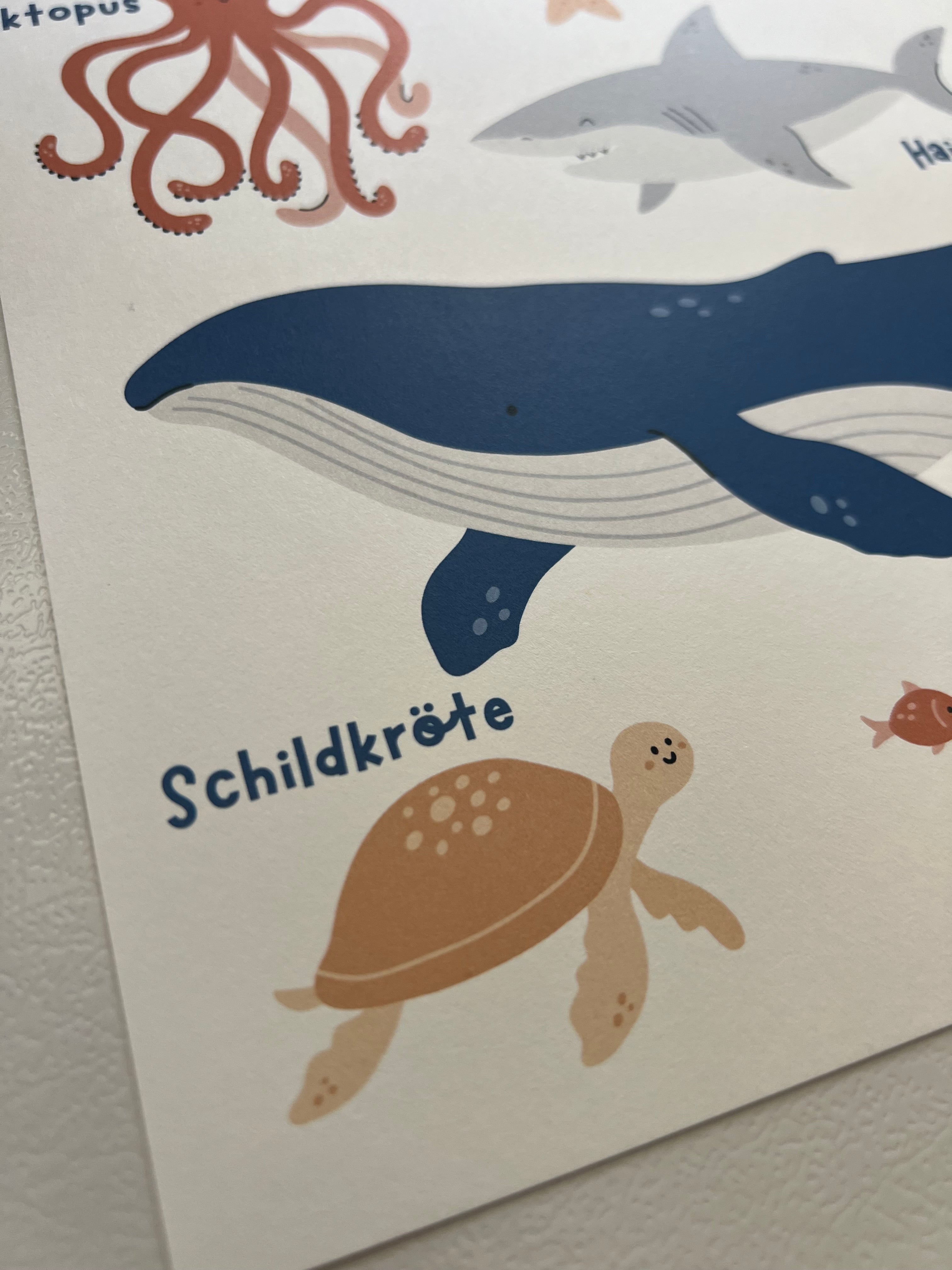 Meerestiere Lernposter Kinder | Wanddeko Kinderzimmer | A4 Premiumpapier