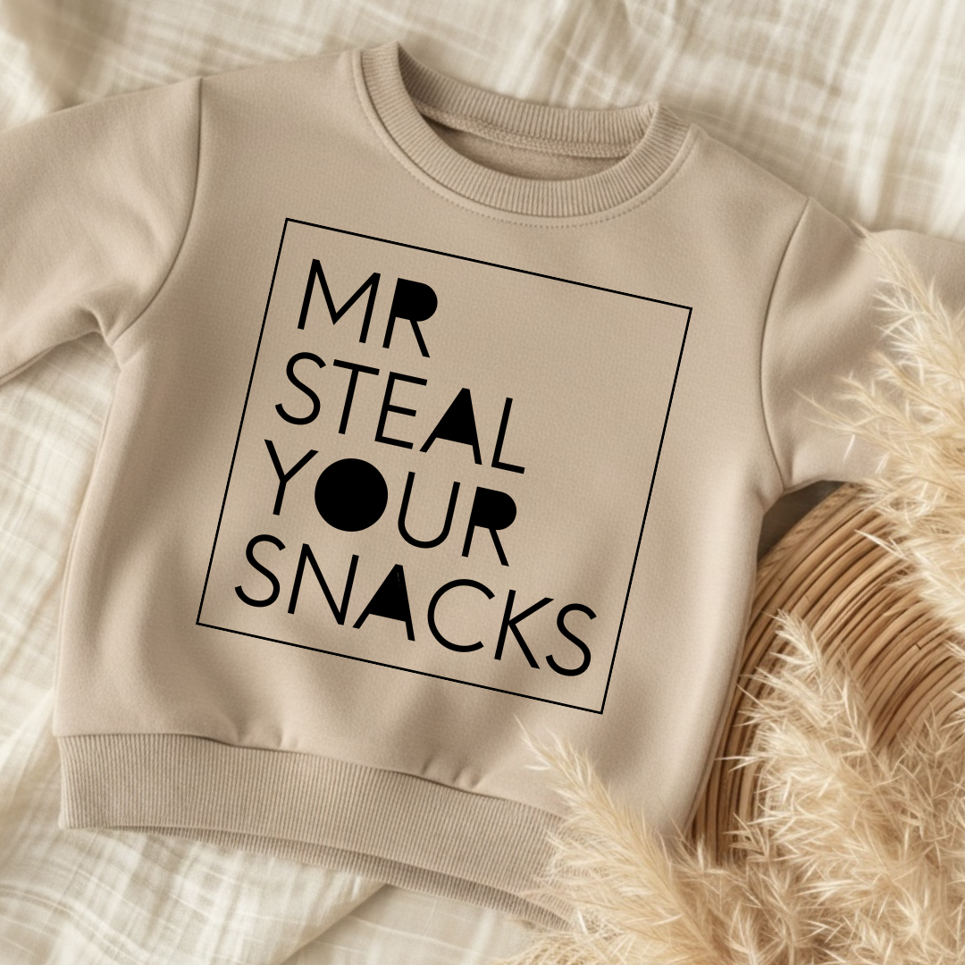 Bügelbild „Mr Steal Your Snacks" | Lustiges Kindershirt DIY | 15x15 cm